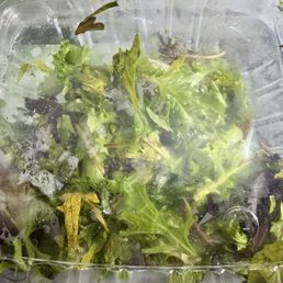 Rotting lettuce, yuck