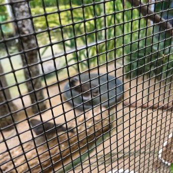 DuPage Wildlife Conservation Center - Zoos Near Me - Glen Ellyn, Illinois DuPage Wildlife Conservation Center - Zoos Near Me - Glen Ellyn, Illinois