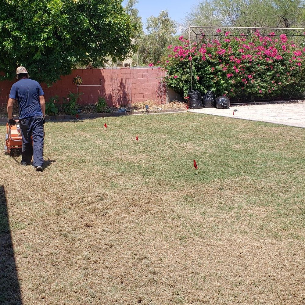 A1 Lawn Aeration - Aeration - Lawn Services Near Me A1 Lawn Aeration - Aeration - Lawn Services Near Me