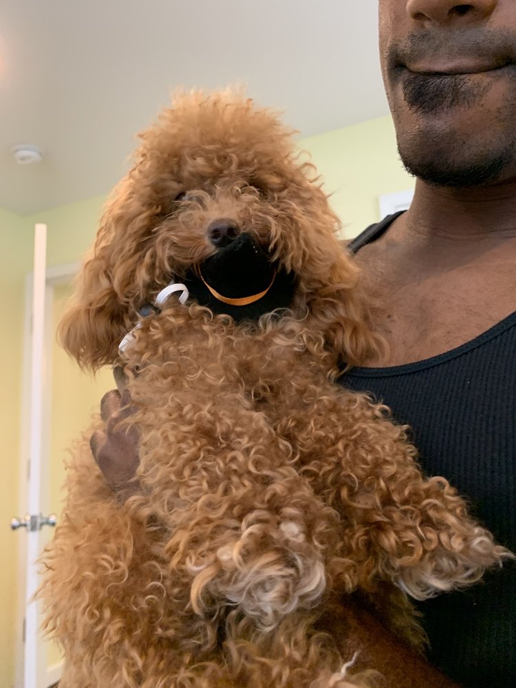 PETCO 37 Photos & 25 Reviews Pet Stores 550 N Carrollton Ave, New