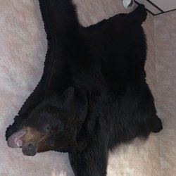 Bear by the stairs