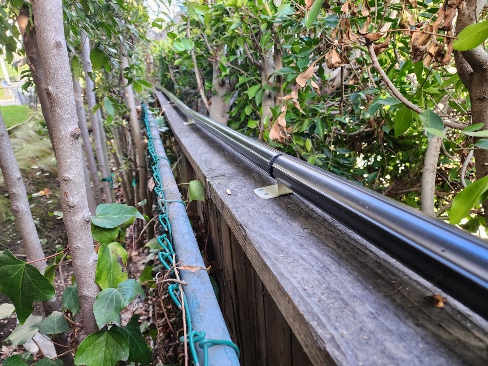 ALL STAR ANIMAL TRAPPING 538 Photos & 350 Reviews Los Angeles, CA