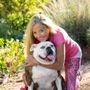 Photo of Dreamy Dogs Pet Salon & Hotel