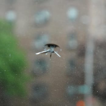Clarke's Spotless Windshield Crack Repair - Before - Windshield Installation & Repair Near Me Clarke's Spotless Windshield Crack Repair - Before - Windshield Installation & Repair Near Me