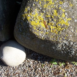 Enas Garten - Ein Kunstwerk von der Natur kreiert