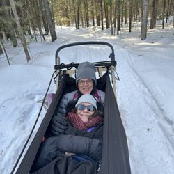 Ultimate Dog Sledding Experience