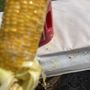 Darien Corn Fest