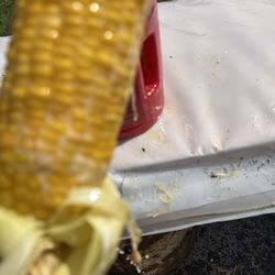 Darien Corn Fest
