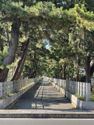 Horyu-ji by null