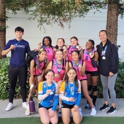 951 Elite Volleyball