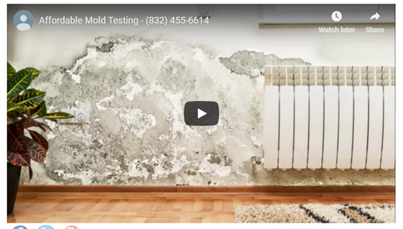 Affordable Mold Testing - mold inspector in San Leon, TX