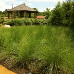 Delano Park