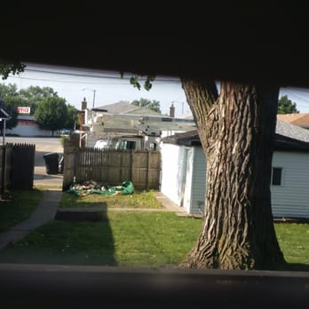 County Tree Service - Big cottonwood tree in backyard that County Tree Service was supposed to cut down but did not cut down. - Tree Services Near Me - Stickney, Illinois