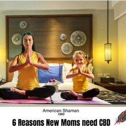 CBD American Shaman | Arlington S. Cooper & Sublett