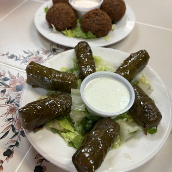 Falafel House - Stuffed Grape Leaves and Falafel - Falafel Near Me - Lakewood, Colorado Falafel House - Stuffed Grape Leaves and Falafel - Falafel Near Me - Lakewood, Colorado