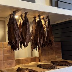 Rodriguez Cigar Factory