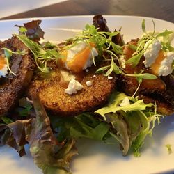 Three Roses Tavern - Ripe, Local, Fried Green Tomatoes, Lightly Crusted, Garlic Aloli, Creamy Goat Cheese, French Dressing. Excellent!