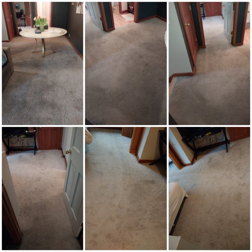 JOE’S CARPET CLEANING Updated August 2024 41 Photos 265