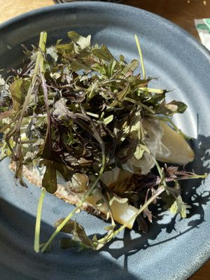 Louisiana Museum of Modern Art by null