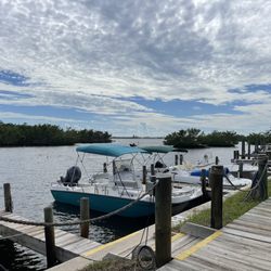 The Backyard Bar - View from deck