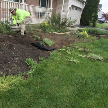 Rob's Lawn Stars - Before - Lawn Services Near Me Rob's Lawn Stars - Before - Lawn Services Near Me