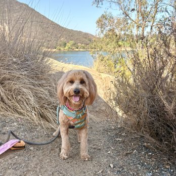 Lake Poway Trail - Grateful for dog friendly trails - Hiking Near Me - Lake Poway, California Lake Poway Trail - Grateful for dog friendly trails - Hiking Near Me - Lake Poway, California