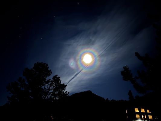 Mountain Shadows Resort by null