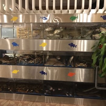 Ming's Seafood Restaurant - The amazing selection of fish, king crab, regular crap, eel, lobster and shrimp.  Off fresh you can pick your own. - Dim Sum Near Me - Malden, Massachusetts