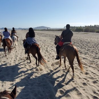 Bonanza - Horseback Riding Near Me - San José del Cabo, BCS