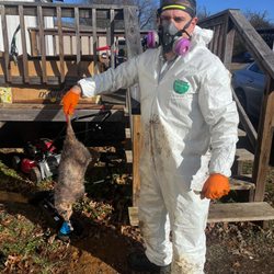 Infestaway Pest Control
