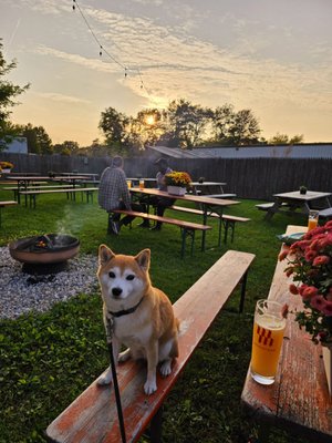 Modestman Brewing by null