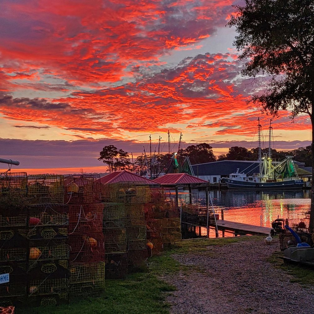 MIDGETT & SONS CRAB COMPANY Updated August 2024 2427 NC Hwy 172