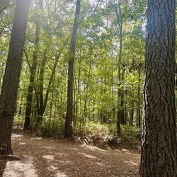 Walking Path