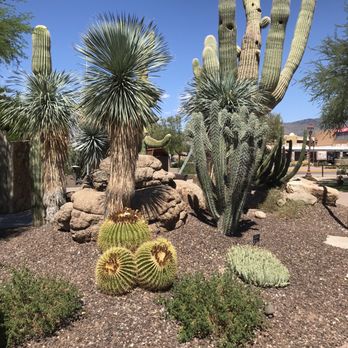 Carefree Desert Gardens - The gardens - Parks Near Me - Carefree, Arizona