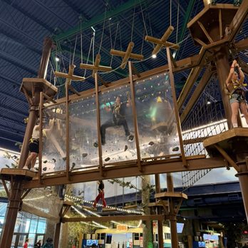 Great Wolf Lodge - Manteca - Howlers Peak Rope Course - Resorts Near Me - Manteca, California Great Wolf Lodge - Manteca - Howlers Peak Rope Course - Resorts Near Me - Manteca, California