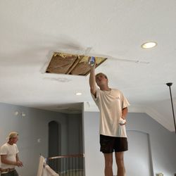 Scott's Sheetrock Services - During