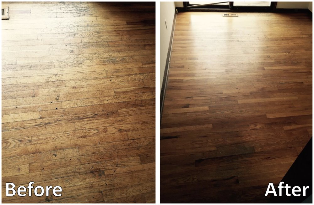 RICK’S KNOCKOUT CARPET CLEANING Updated September 2024 22 Photos