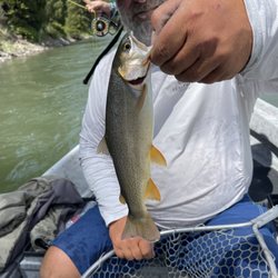 Mangis Fishing Guide Service - 1 of 46 catches a day