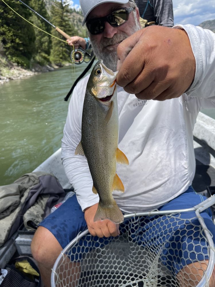 Mangis Fishing Guide Service Logo