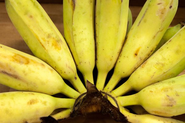 North Broad Seafood by null