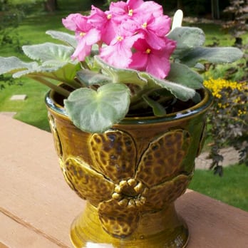 Thrown Elements Pottery - My favorite flower pot. One of my first items made at the studio. Just love it - Art Schools Near Me - Arlington Heights, Illinois
