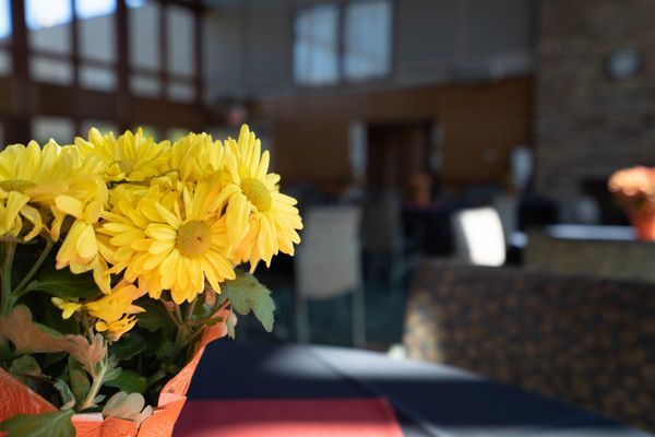 Tully Hill Treatment & Recovery