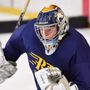RK Goalies