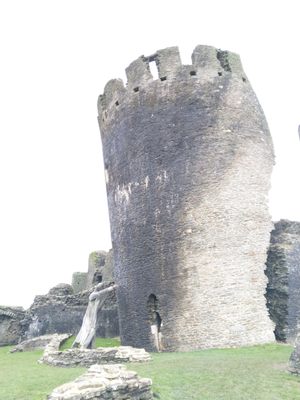 Caerphilly Castle by null