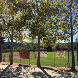Siltanen Park - Trees for shade on hot days