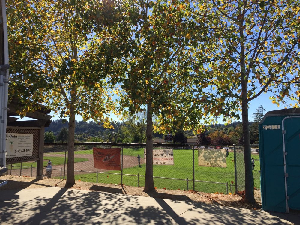 Siltanen Park Logo
