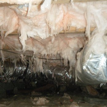 Carolina Crawlspace Solutions - Crawlspace before encapsulation - General Contractors Near Me - Morehead City, North Carolina Carolina Crawlspace Solutions - Crawlspace before encapsulation - General Contractors Near Me - Morehead City, North Carolina