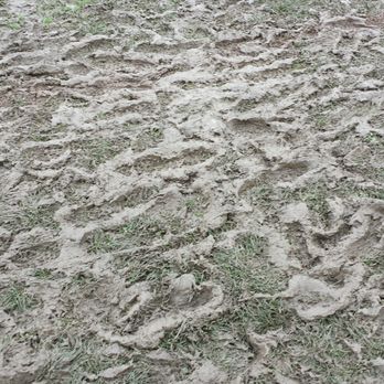 CHERRY ISLAND SOCCER COMPLEX - Updated March 2026 - 26 Photos & 33