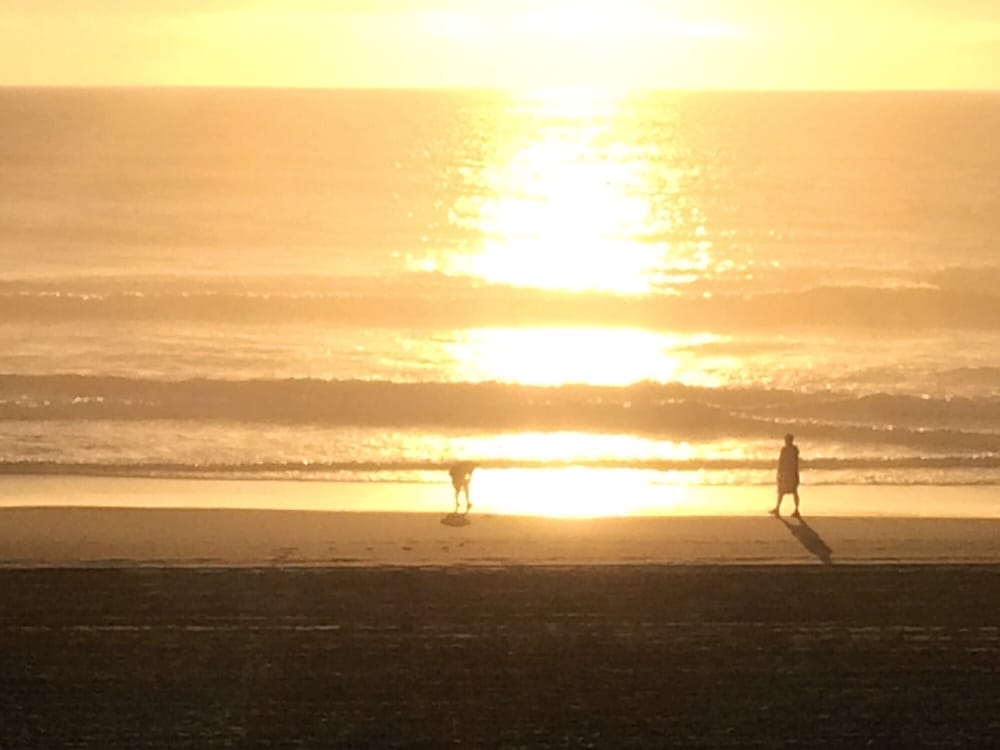 BIG 5 Updated October 2024 4677 Commercial St SE, Salem, Oregon