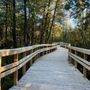 Crawford Lake Conservation Area